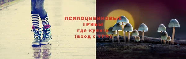 бутират Ельня