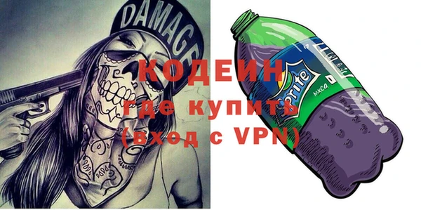 МДПВ Елабуга