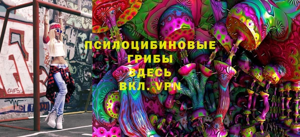 МДПВ Елабуга