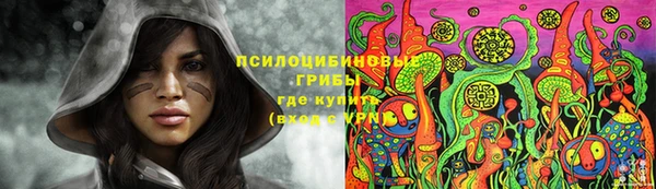 бутират Ельня