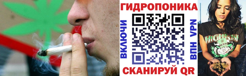 Конопля семена  Купить где  Реж 